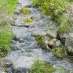 La Fleur de Bach Rock Water ou Eau de roche