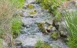 La Fleur de Bach Rock Water ou Eau de roche